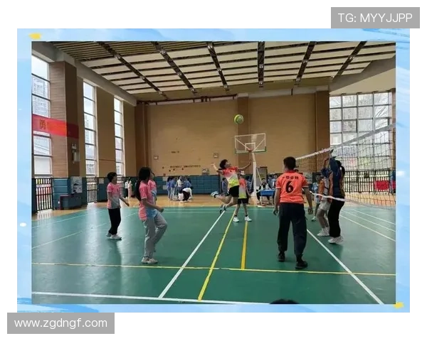 全国锦标赛回顾：杭州排球队展现卓越团队协作精神与竞技风采