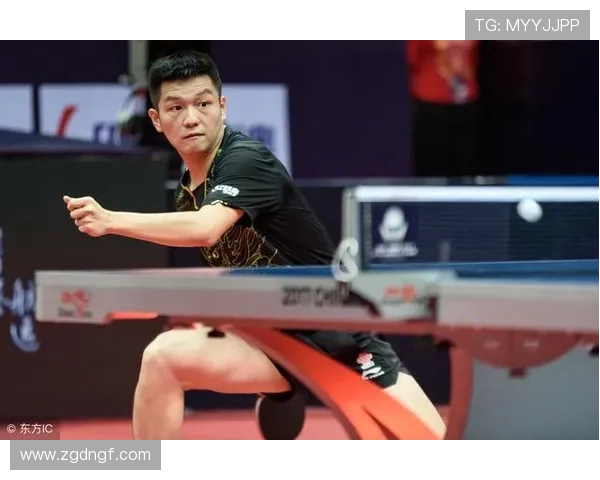 深圳乒乓球队在锦标赛中的耐力表现与战术分析