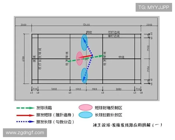 西安羽毛球队战术解析与其他球队的对比研究